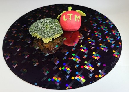 From cabbage to apple: lithography and wettability
