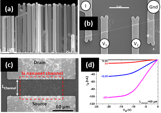 Nano-Wire based Bio-Sensor