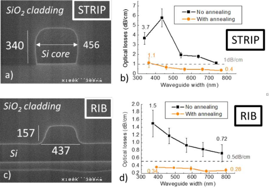 Images of STRIP and RIB guide profiles after Hydrogen annealing